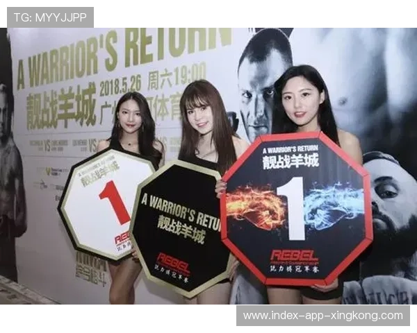 MMA地面与站立技融合成新潮流